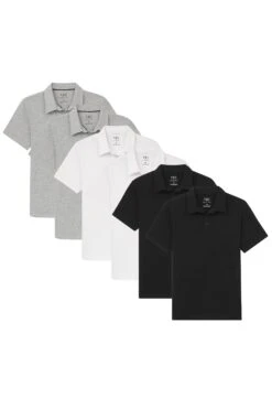 Organic Polo Shirt 6 Pack / Essentials