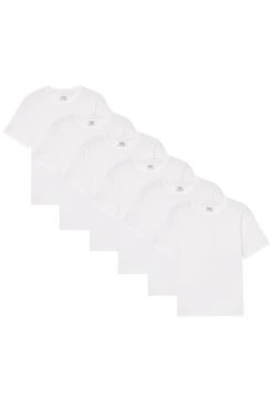 Organic Athletic Fit Crew Neck T-Shirt 6 Pack / White